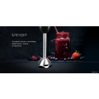 Погружной блендер Redmond (Редмонд) RHB-2998