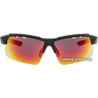 Солнцезащитные очки GOG E579-2 (черный матовый)