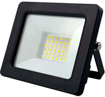 Уличный прожектор ЭРА LPR-042-3-65K-030