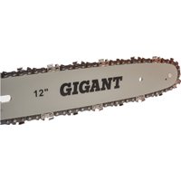 Электрическая пила Gigant GSAF-14