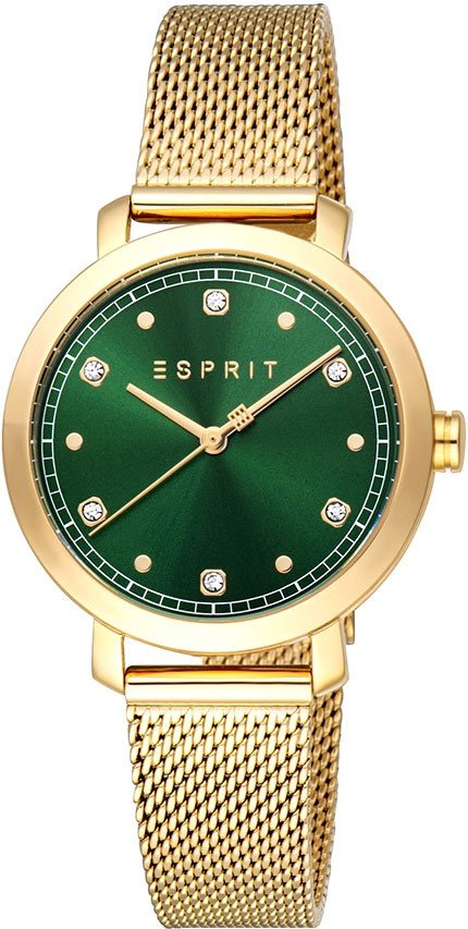 

Наручные часы Esprit ES1L402M0035