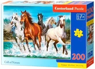 

Пазл Castorland Новое поколение
