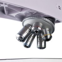 Микроскоп Magus Metal 650 82900