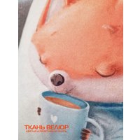 Декоративная подушка Matex Fluffy. Рыжик и кофеек 61-649 (белый/голубой/лососевый)