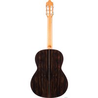 Акустическая гитара Camps M-1-S