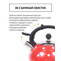 Чайник со свистком TimA WTK241C
