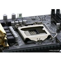 Материнская плата ASUS Z170M-PLUS