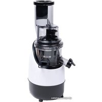 Соковыжималка Rawmid Greenery RGJ-03