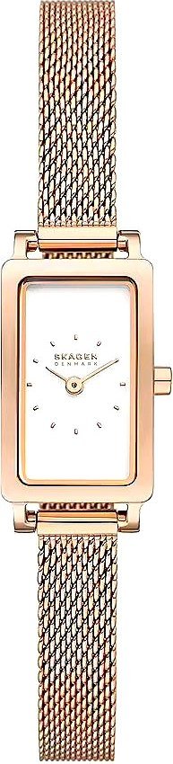 

Наручные часы Skagen SKW3148