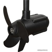 Лодочный мотор Haswing Protruar 1.0 12V