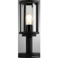 Садовый светильник Arte Lamp A1036FN-1BK