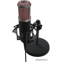 Проводной микрофон Ritmix RDM-260 USB Eloquence