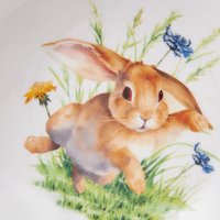 Салатник Fissman Rabbit 13510