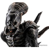 Экшен-фигурка Hiya Toys Aliens Colonial Marines Xenomorph Raven TM20021