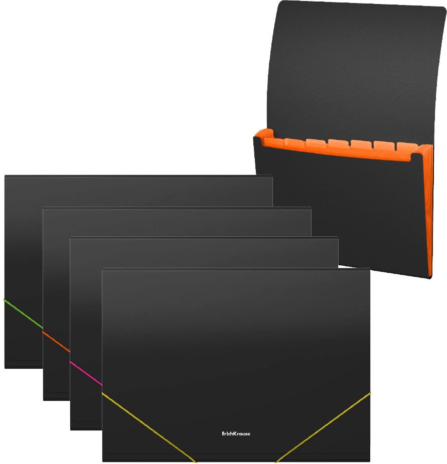 

Набор папок Erich Krause Matt Accent 50425 (4 шт)