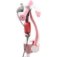 Трехколесный самокат RiverToys HB-T-66 (розовый)