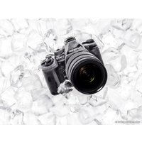 Беззеркальный фотоаппарат Olympus OM-D E-M1 Kit 12-40mm PRO