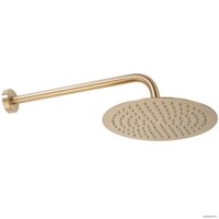 Душевая система  Rea Lungo Miler Brush Gold P6716 в Бобруйске