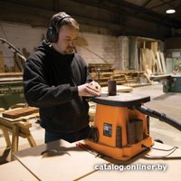 Шлифовальный станок Triton TSPS450