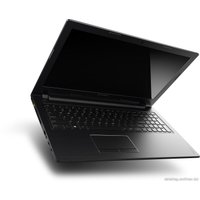 Ноутбук Lenovo IdeaPad S510p (59391664)