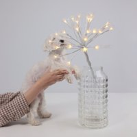 Рождественская ветка AksHome Тип 8 Фейерверк 31х75см 25LED 3АА