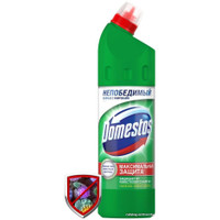 Средство универсальное Domestos Хвойная свежесть 500 мл