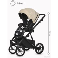 Универсальная коляска Riko Basic Montana Ecco (3 в 1, 15/бежевый)