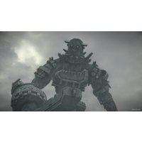  Shadow of the Colossus для PlayStation 4