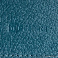 Кредитница Poshete 604-116M-NAV (синий)