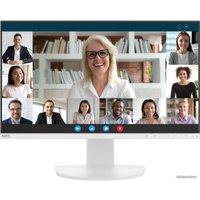 Монитор NEC MultiSync EA242F (белый)