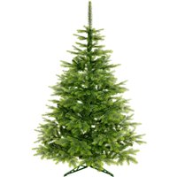 Ель Erbis Swierk Natura 180