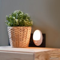 Ночник PROconnect Firefly-Pro 75-0307