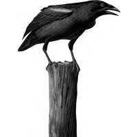 Книга издательства Альпина Диджитал. Дальний Лог: Уральские рассказы (Бакирова Наталья)