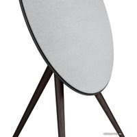 Напольная акустика Bang & Olufsen BeoPlay A9 (антрацит, 4-ое поколение)
