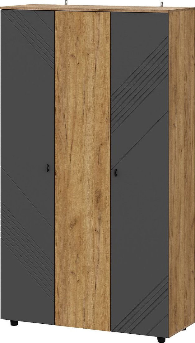 

Шкаф распашной Mio Tesoro Байкал трехстворчатый (дуб золотистый/графит)