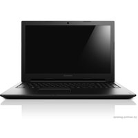 Ноутбук Lenovo IdeaPad S510p (59391664)