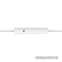 Наушники Apple Earphones (MB770G)