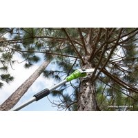 Высоторез Greenworks G24PS20K2 (с 1-м АКБ 2 Ah)