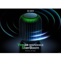 Умная колонка Sber SberBoom (черная материя)