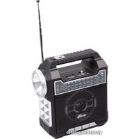Радиоприемник Ritmix RPR-444