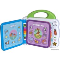 Интерактивная игрушка VTech Мой первый англо-русский словарик 100 слов 80-601526