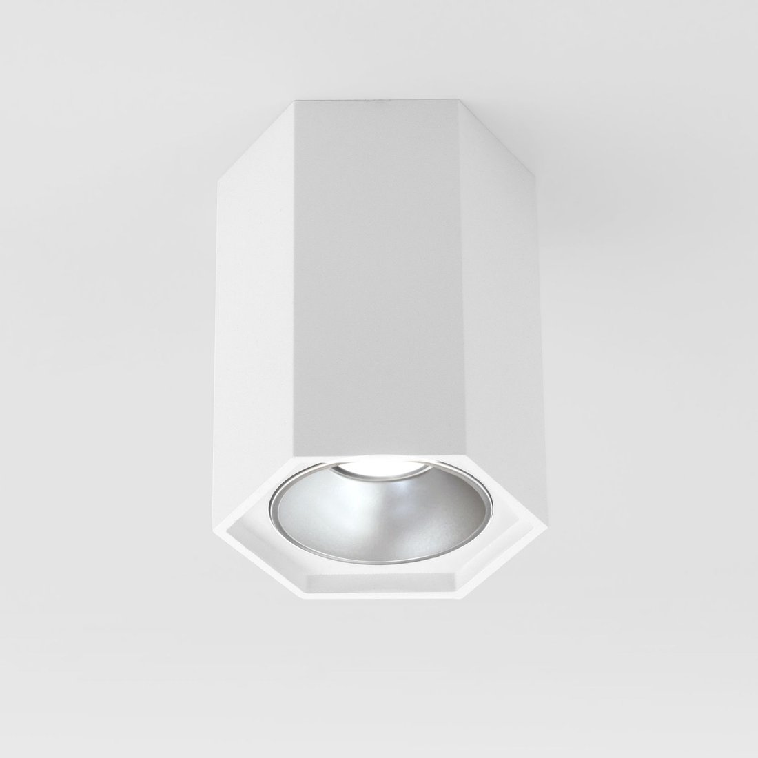 

Точечный светильник Elektrostandard 25036/LED (белый матовый/серебристый)