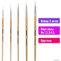 Кисть для рисования Пифагор 200877