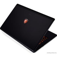 Игровой ноутбук MSI GS70 2QC-029XRU Stealth