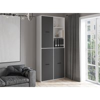 Шкаф распашной Интерлиния Skill-20 (3) (белый/антрацит)