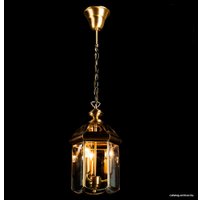 Светильник Arte Lamp Rimini A6505SP-3AB