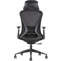 Офисное кресло Evolution Office Comfort (черный)
