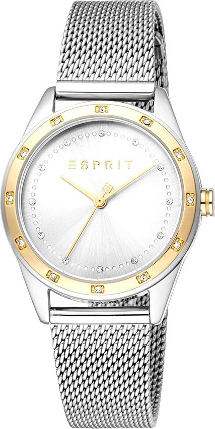 

Наручные часы Esprit ES1L349M0105