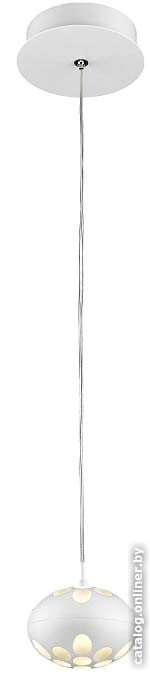 

Светильник Wertmark Augen WE438.01.006