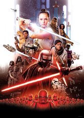 Star Wars Movie Poster Rey WB175